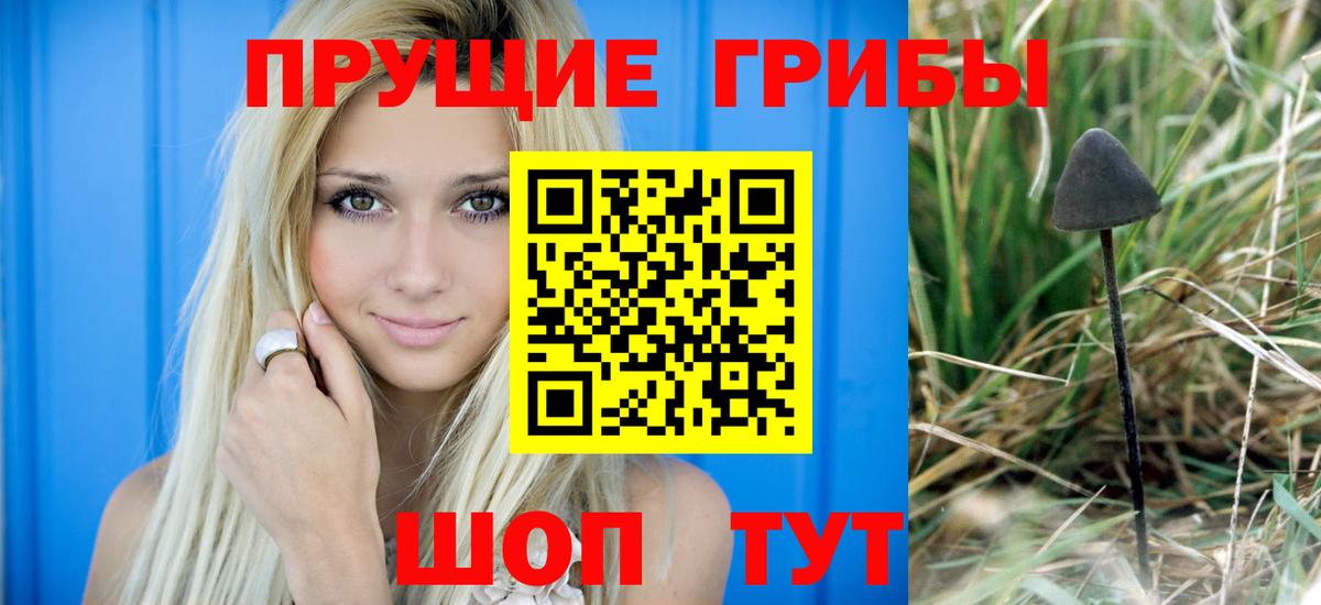 Пыть-Ях  Псилоцибиновые грибы мицелий  Вход с VPN  Галлюциногенные грибы ЛСД 